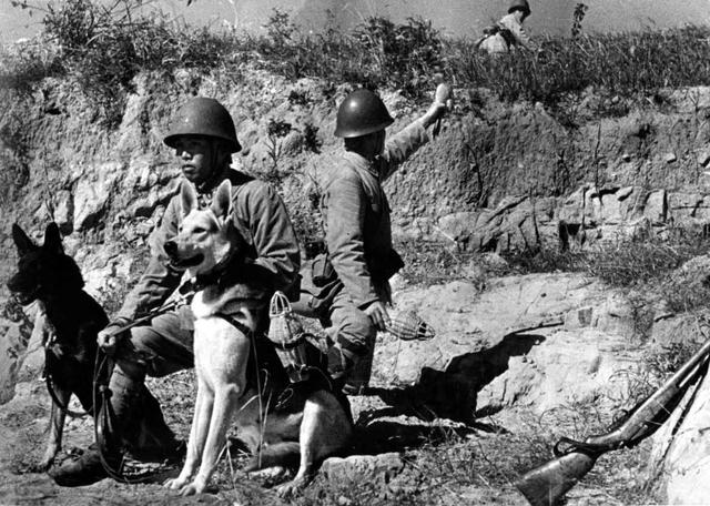 敌后游击队（少见的抗战图集）