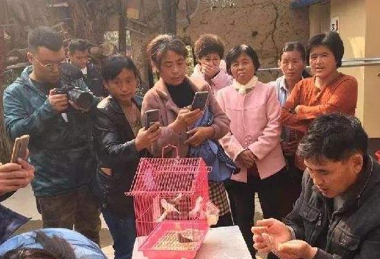 在“大衣哥”的门前，看到了人性的丑陋，朱之