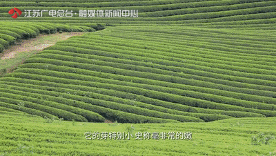 「风景」游遍江苏 这里的风景，骑车去看刚刚好！|