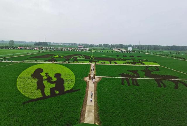 稻田绘画卷 幸福新农村