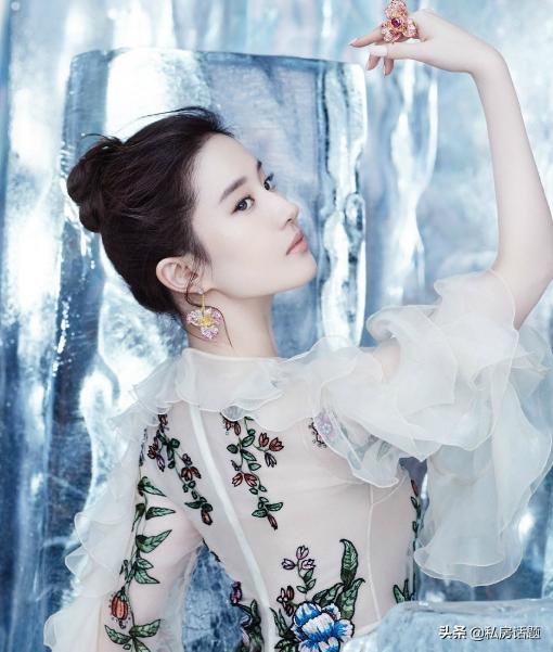 从不上真人秀综艺却很有名的明星你知道的有哪