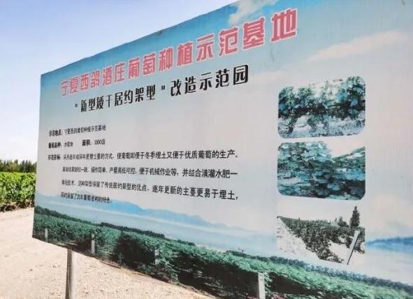 楊凌農(nóng)科，見證小康足跡——2020走出楊凌看示范活動圓滿收官