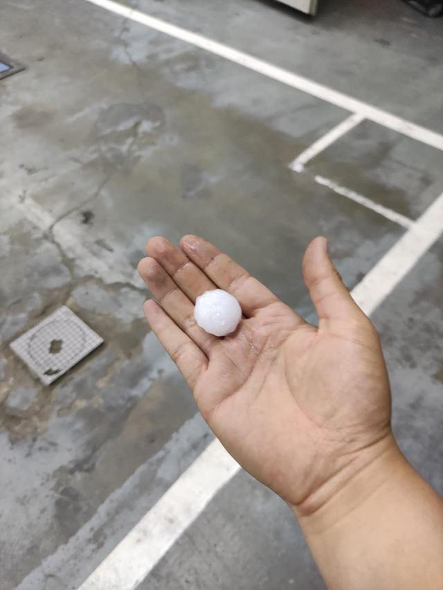 暴雨|哈尔滨突降暴雨冰雹白天变黑夜 街道瞬间边鱼塘