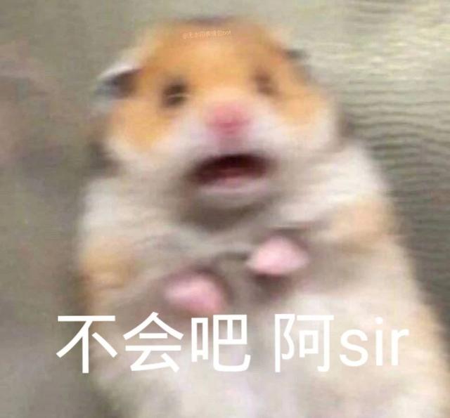 7.24 | 表情包来啦
