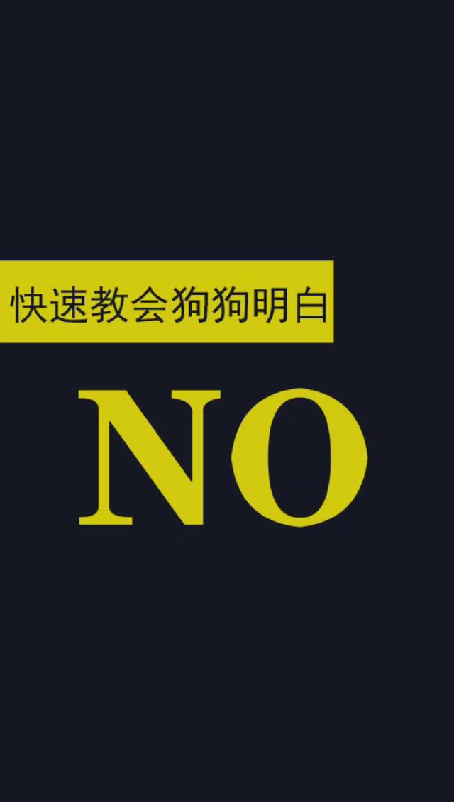 no什么意思中文(no什么意思中文翻译)