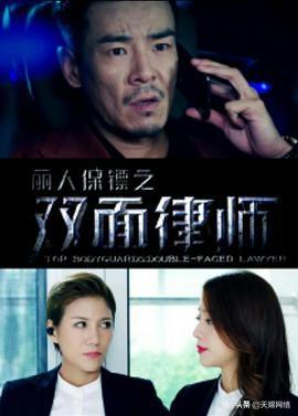 丽人保镖之双面律师
