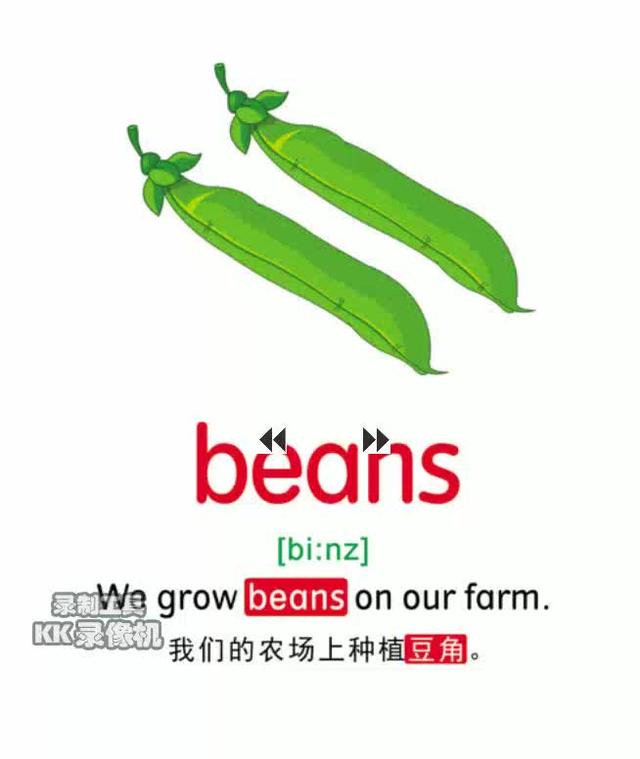 青豆?哪种啊?peas(不带皮的豆粒)beans(四季豆,豆角,那类的)