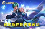 王者荣耀体验服庄周终于调整，大招免伤换护盾，你觉得是加强吗？