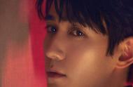 Zhu Yilong is good one " gentle degenerate " , b