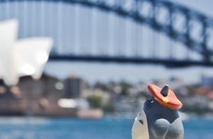 Now and then indulge oneself, also be one kind loosens means probably