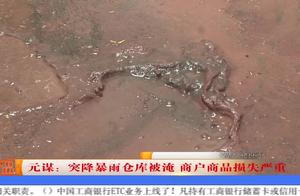 Yuan seek: Light rainstorm storehouse is wided los