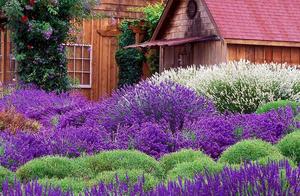 Have a place, yearning all the time very long. Its