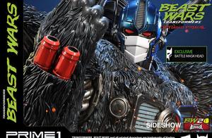 Have Oriental wind very much 