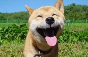 Company of one woman gamble play away, use dogginess personage bilk unexpectedly 10 million