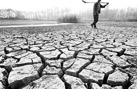 Because ravages of a drought is severe, thailand s