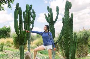 Large sunken model plunges into Zhang Yuqi and cactus group photo double horsetail shows a leg