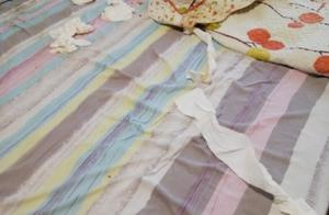 Female law aids the suicide that burn charcoal, the month embraces 14 pieces of credit card to be in