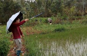 Is earthworm bait direct is link up with OK? Just 