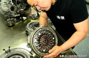 Understanding, lu Ci of snow Buddha the orchid fam