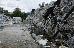 Risk everyone's condemnation! 186 countries concl