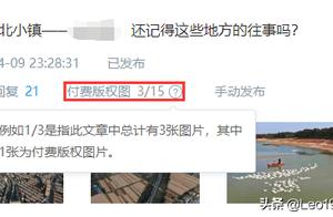 Does copyright picture identify automatically? Also have little small leak