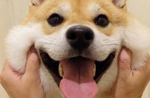 How to name a word Orphean won't weigh a name aga