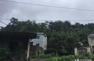 7 years old male child murder by hall elder brother 