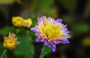 Discretion of these 3 kinds of people interacts, o