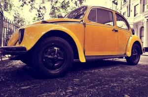 Unripe be born not to cease 80 of Yu Zai classical