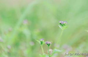 Ask a rubbish in the heart, fall regularly