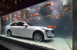 Hold up new car: Aquarium bubble car! After Kaidilake is shown formaldehyde exceeds bid, such answer