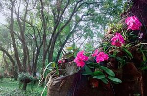 " happy eulogy " authenticity of duty field fema