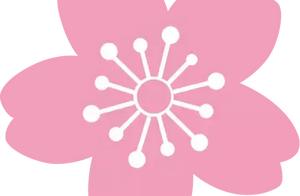 Ovarian raise well, green and not easy old! Authority of doctor of traditional Chinese medicine is u