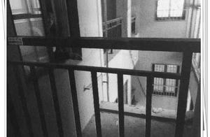 15 years old of teenagers rape 7 years old female 