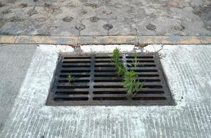 Discuss: Is friend circle belonged to after all pr