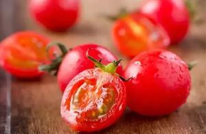 Small tomato is so delicious, eat much meeting get