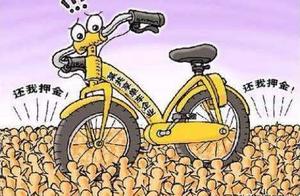 The lawyer applies for Ofo to go bankrupt, avoid cash pledge of recapture queueing up, 