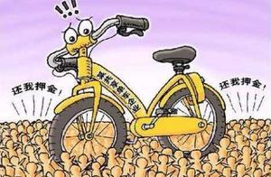 The lawyer applies for Ofo to go bankrupt, avoid cash pledge of recapture queueing up, 