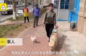 "You take the car on the dog, I did not leave " 