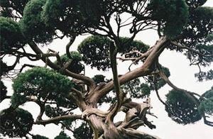 Write wonderfully (too attractive) take things too