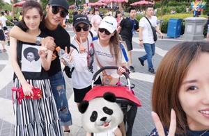 Bi Ying company is cancelled, big glad excitement rambles supermarket humor is good, the son is obta