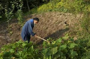 About those things with teaching accumulate wealth