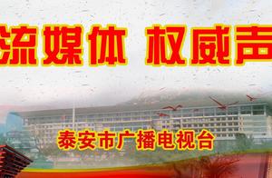 Shandong sampling observation sample of 613 batch 