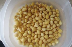 Raise a flower to need not buy manure, in basin of