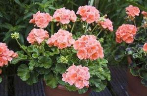 Filter the residue from bean after making soya-bea