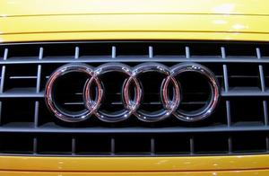 Beautiful intermediary judges the brand of 10 old 