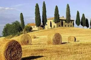 These 17 agriculture projects are probable deceive people, encounter must vigilant!