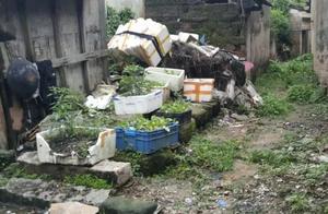 [is wet in relief area achieved civil carry upgrad