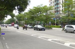 Elephant of chaos of transportation of way of part of urban district of in relief river returns