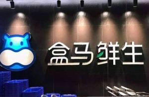 Box horse delicacy is born to be discovered by sam